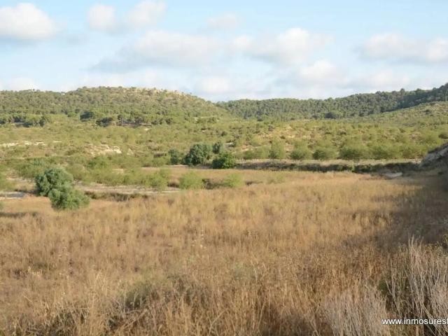 Terreno en venta en el Baix Segura / La Vega Baja, Valencia