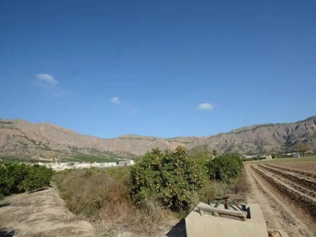 Terreno en venta en Orihuela, Alacant / Alicante