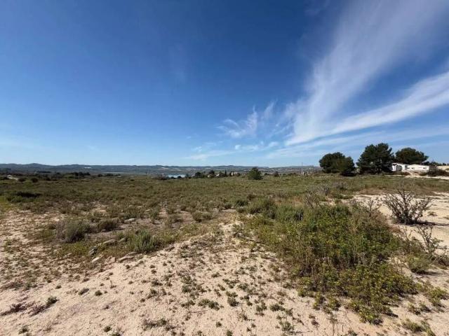 Terreno en venta en el Baix Segura / La Vega Baja, Valencia