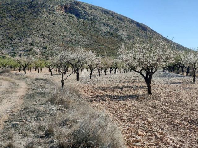 Terreno en venta en Orihuela, Alacant / Alicante