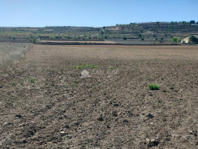 Terreno en venta en Orihuela, Alacant / Alicante