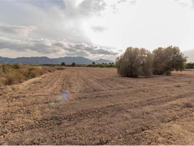 Terreno en venta en Orihuela, Alacant / Alicante