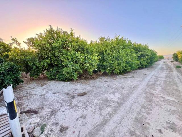 Terreno en venta en Hurchillo, Orihuela