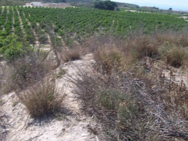 Terreno en venta en Orihuela, Alacant / Alicante