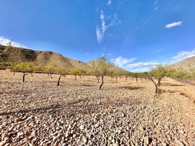Terreno en venta en el Baix Segura / La Vega Baja, Valencia