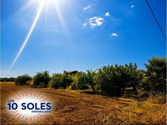 Terreno en venta en el Baix Segura / La Vega Baja, Valencia