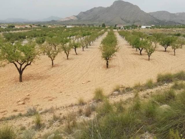Terreno en venta en el Baix Segura / La Vega Baja, Valencia