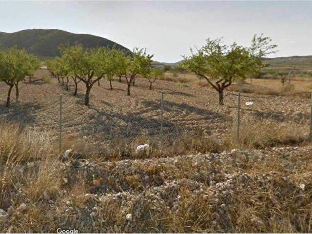Terreno en venta en el Baix Segura / La Vega Baja, Valencia