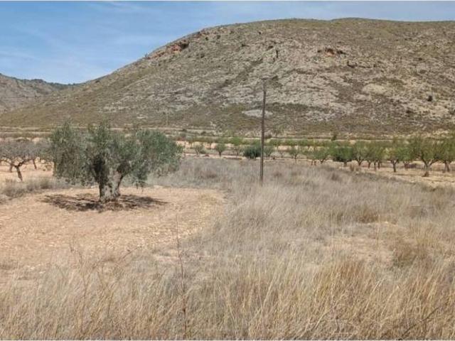 Terreno en venta en el Baix Segura / La Vega Baja, Valencia