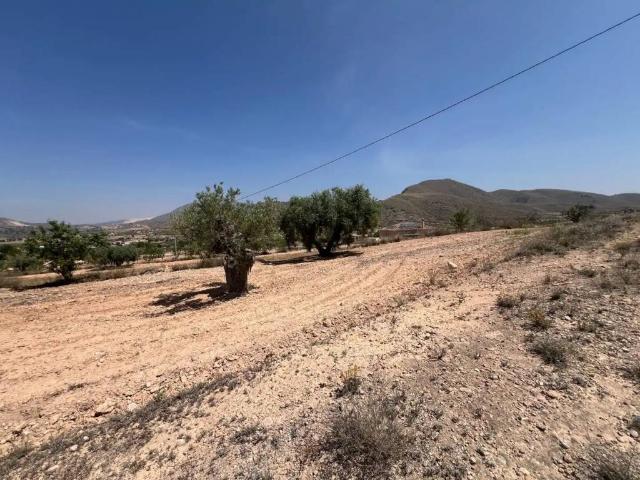 Terreno en venta en Orihuela, Alacant / Alicante