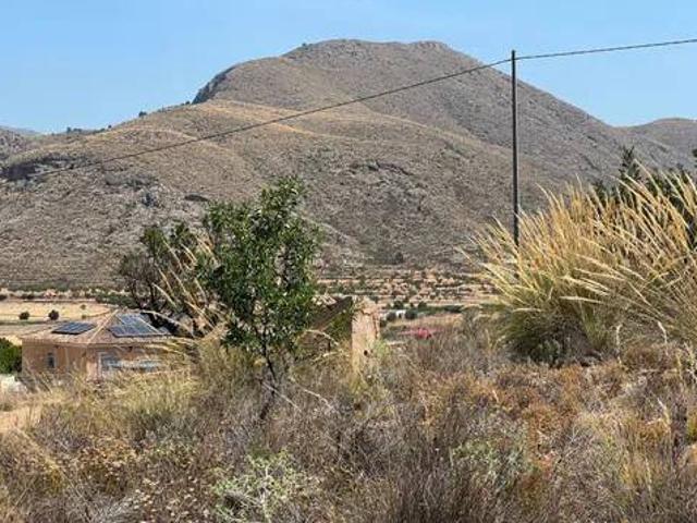 Terreno en venta en el Baix Segura / La Vega Baja, Valencia
