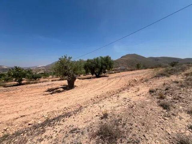 Terreno en venta en el Baix Segura / La Vega Baja, Valencia