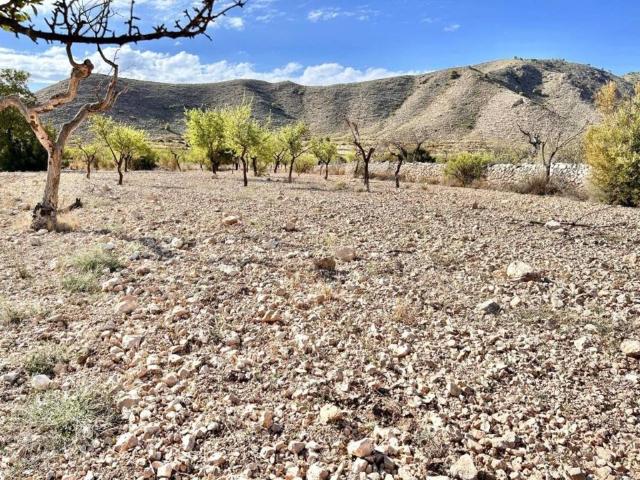 Terreno en venta en el Baix Segura / La Vega Baja, Valencia