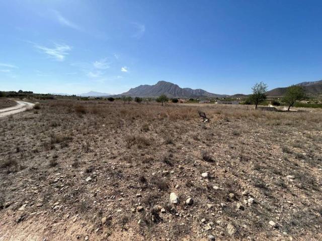 Terreno en venta en el Baix Segura / La Vega Baja, Valencia
