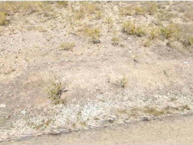 Terreno en venta en el Baix Segura / La Vega Baja, Valencia