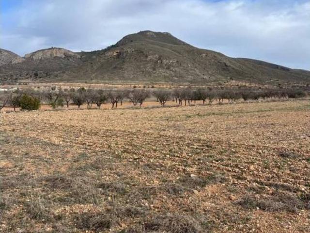 Terreno en venta en Orihuela, Alacant / Alicante
