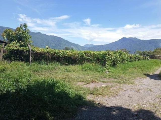 Terreno en venta en Electricistas, Orizaba