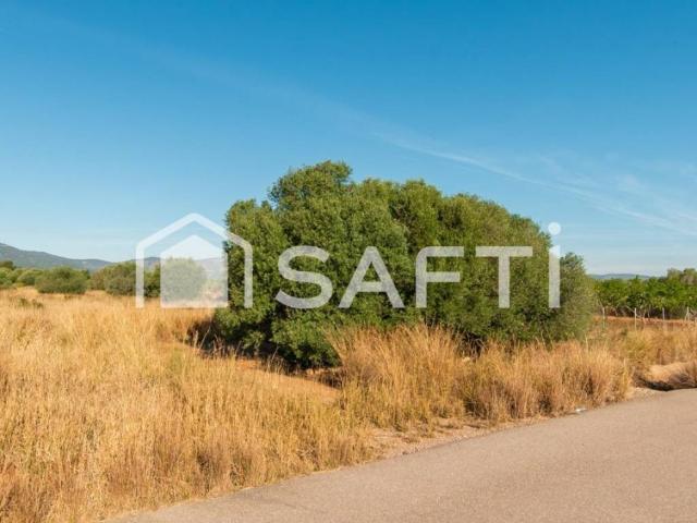 Terreno en venta en la Plana Alta, Valencia