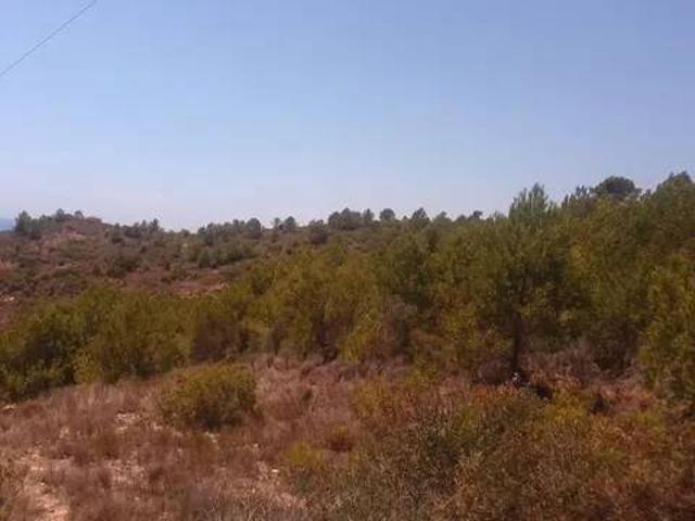 Terreno en venta en la Plana Alta, Valencia
