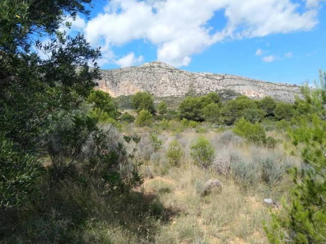 Terreno en venta en la Plana Alta, Valencia