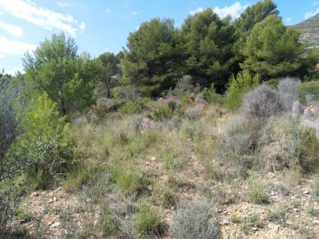 Terreno en venta en la Platja d'Orpesa, la Plana Alta