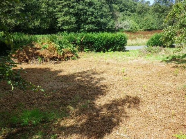 Terreno en venta en Ortigueira