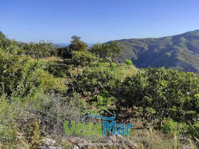 Terreno en venta en Comarca de la Costa Granadina, Andalucía