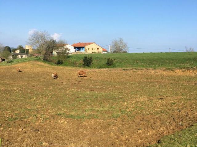 Terreno en venta en Ribadedeva, Noriega