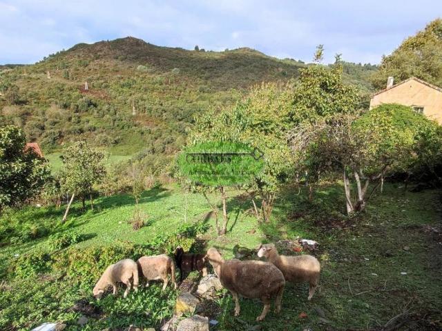 Terreno en venta en Ourense, Galicia