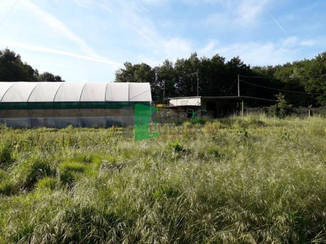 Terreno en venta en Ourense, Galicia