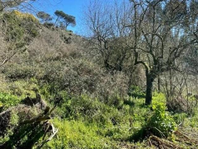 Terreno en venta en Ourense, San Francisco