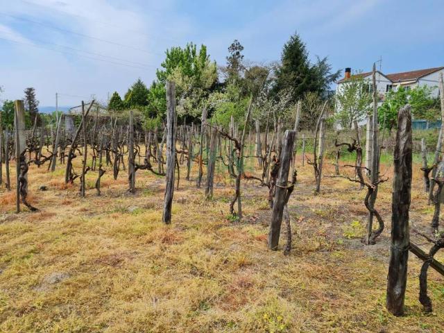 Terreno en venta en Ourense, Galicia