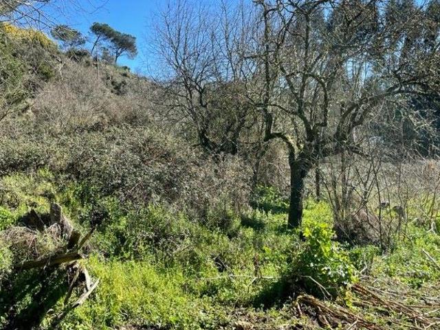 Terreno en venta en Ourense