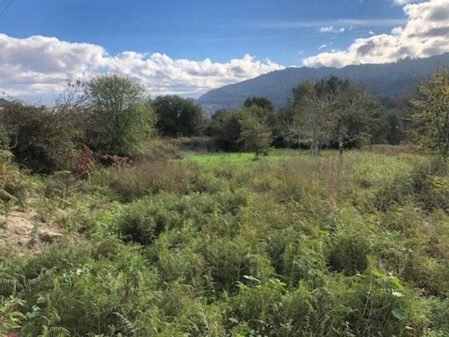 Terreno en venta en Fontelo, Ourense