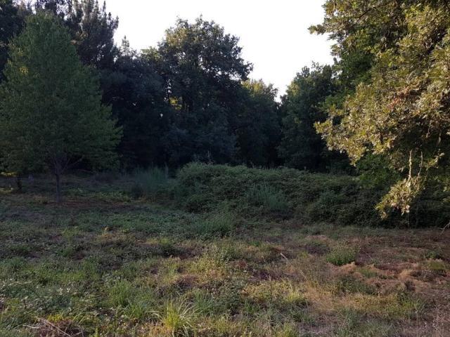 Terreno en venta en Ourense, Galicia