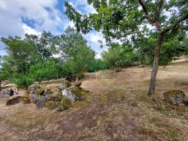 Terreno en venta en Ourense, Galicia