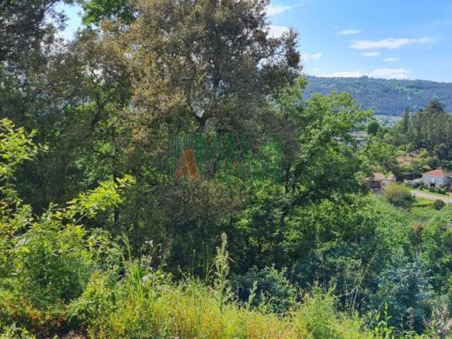 Terreno en venta en Ourense, Galicia