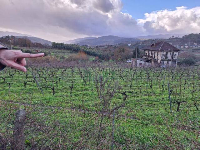 Terreno en venta en Ourense, Galicia