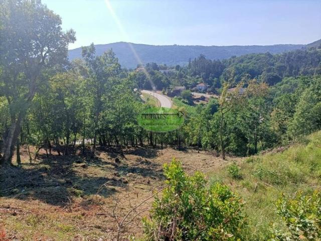 Terreno en venta en Ourense, Galicia