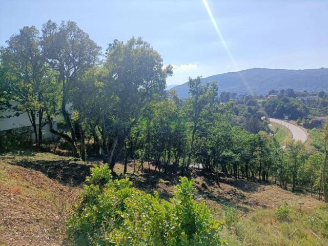 Terreno en venta en Ourense, Galicia