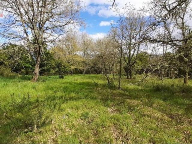 Terreno en venta en Ourense, Galicia