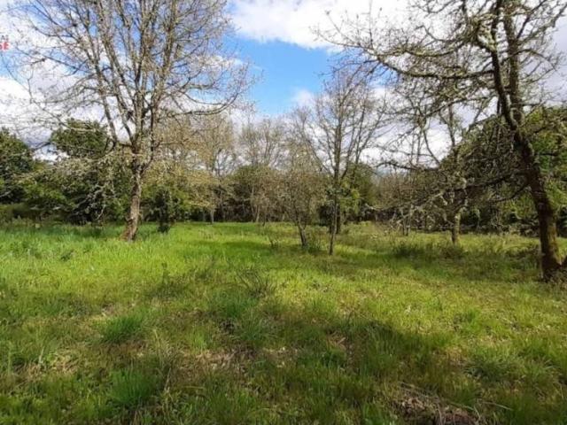 Terreno en venta en Ourense, Galicia