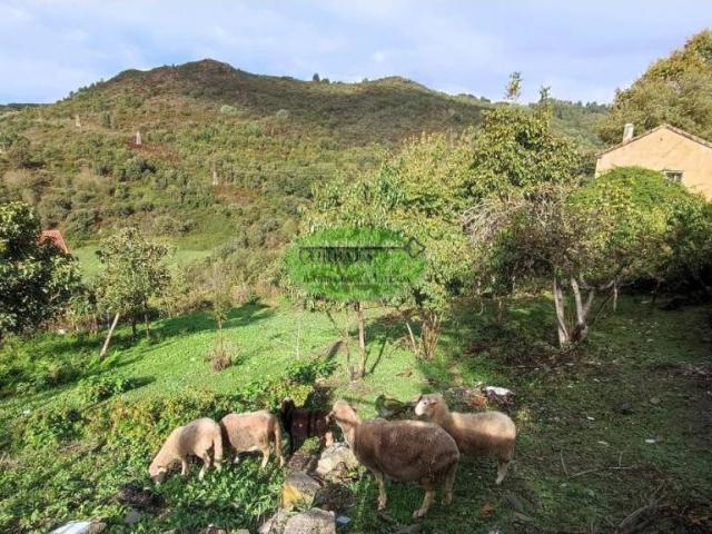 Terreno en venta en Ourense, Galicia