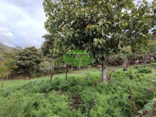 Terreno en venta en Ourense, Galicia
