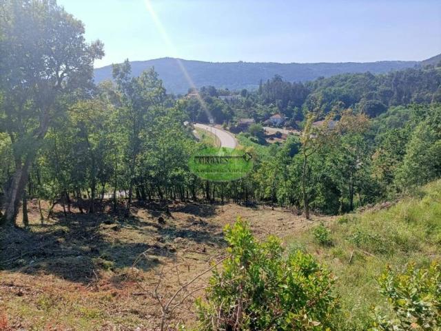 Terreno en venta en Ourense
