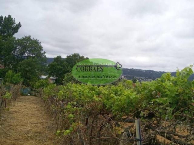 Terreno en venta en Ourense, Posío