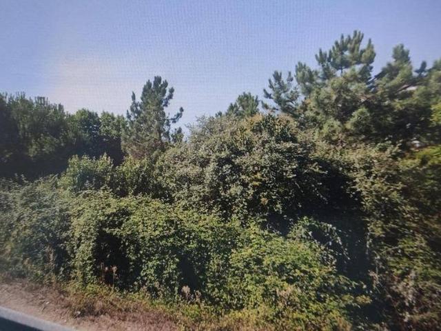 Terreno en venta en Montealegre, Gomesende