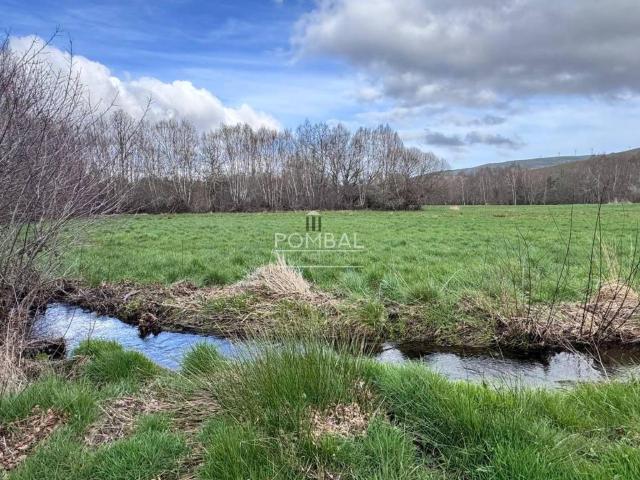 Terreno en venta en Ourense, Galicia