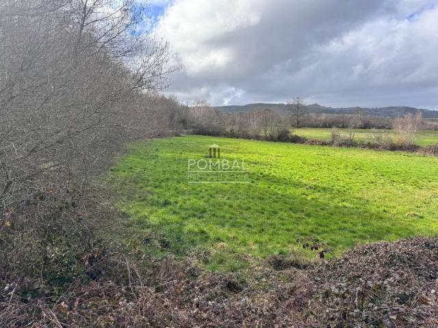 Terreno en venta en Ourense, Galicia