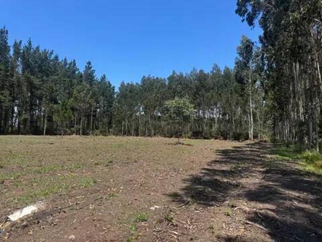 Terreno en venta en Lugo, Galicia